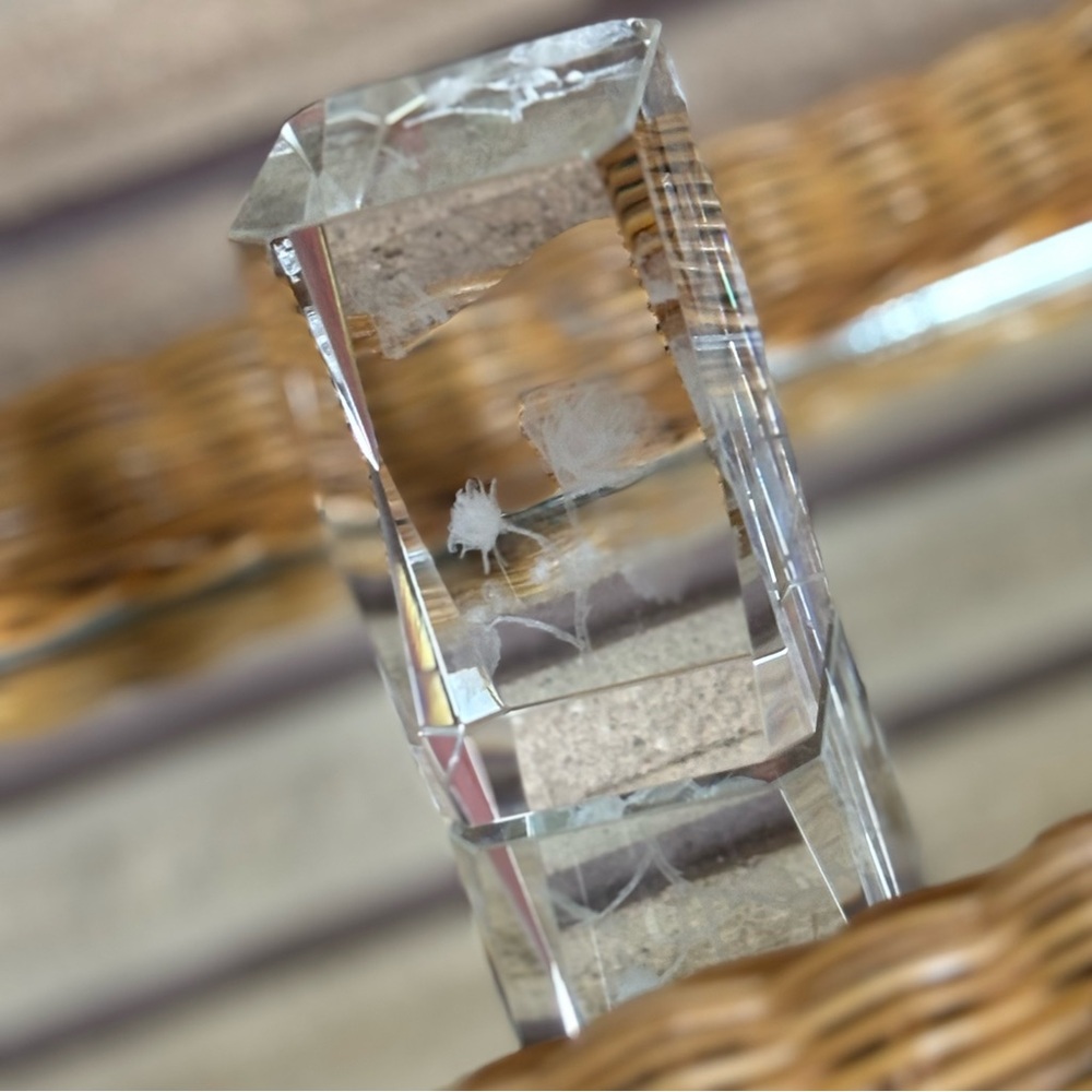 80's 3D Bubblegram - Laser-Etched Rose and Butterfly Clear Glass Sculpture